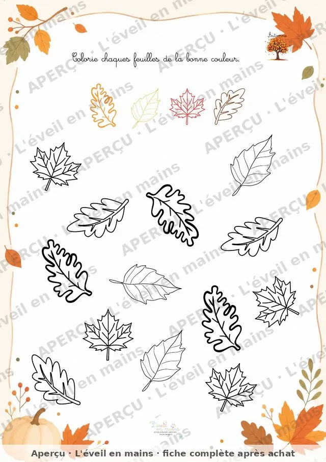 Colorie les feuilles