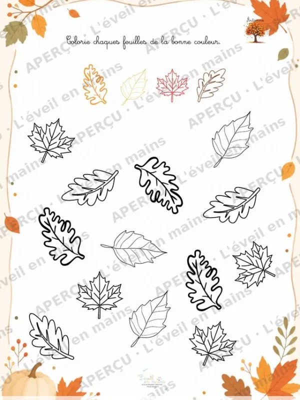 Colorie les feuilles